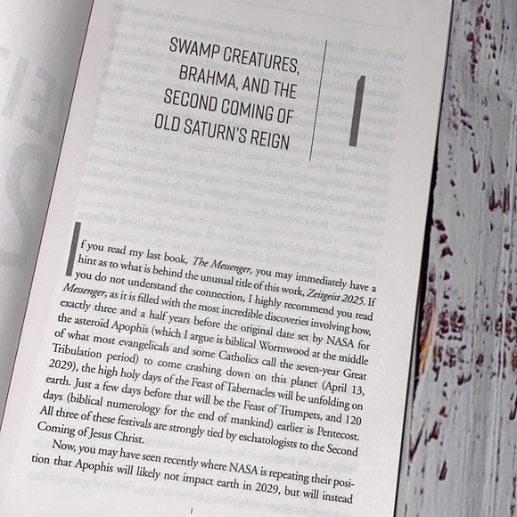 Zeitgeist 2025 Countdown to the secret destiny of America by Thomas R. Horn book - Picture 6 of 8